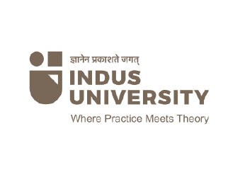 Indus University